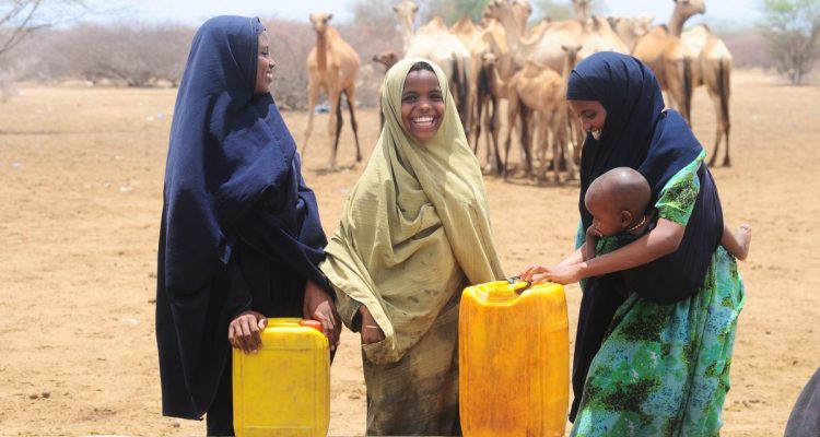 Nonprofits Respond to Humanitarian Crisis