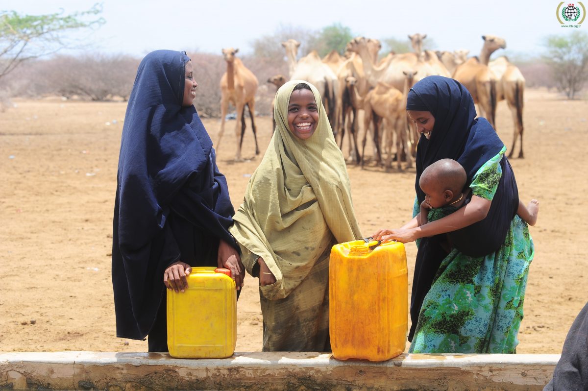 Nonprofits Respond to Humanitarian Crisis