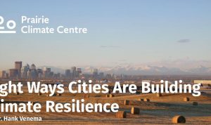 Cities Plan for Climate Resilience Initiatives Ahead