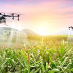 Innovations in Agriculture Aim to Boost Yields