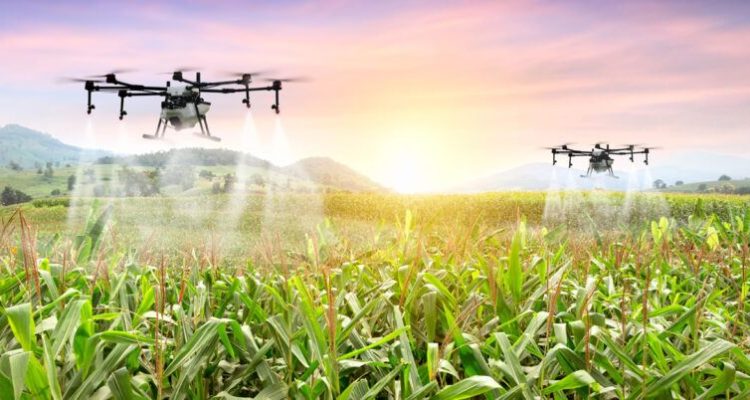 Innovations in Agriculture Aim to Boost Yields