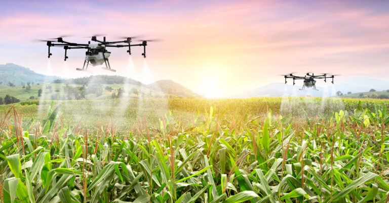 Innovations in Agriculture Aim to Boost Yields