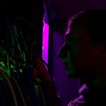 Nations Invest in Cyber Defense Programs