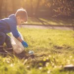 Cities Adopt Green Urban Development Plans for a Sustainable Future