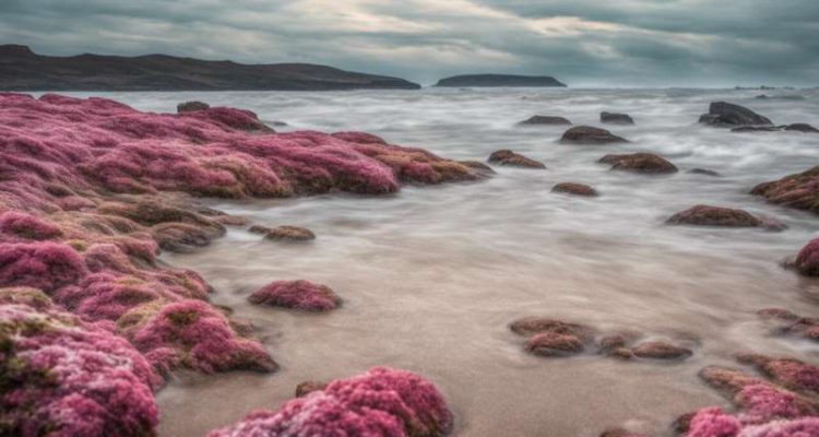 Scientists Call for Urgent Ocean Protection